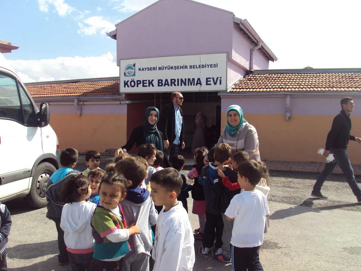 Miniklerden Köpek Barınma Evi\'ne Ziyaret