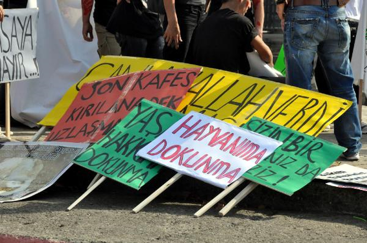 Trabzonlu Hayvanseverlerden Protesto Yürüyüşü
