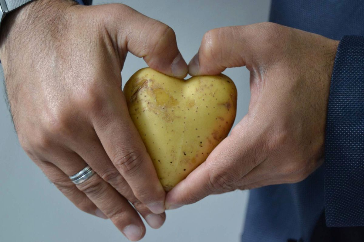 Kalp Şeklindeki Patates Görenleri Şaşırtıyor