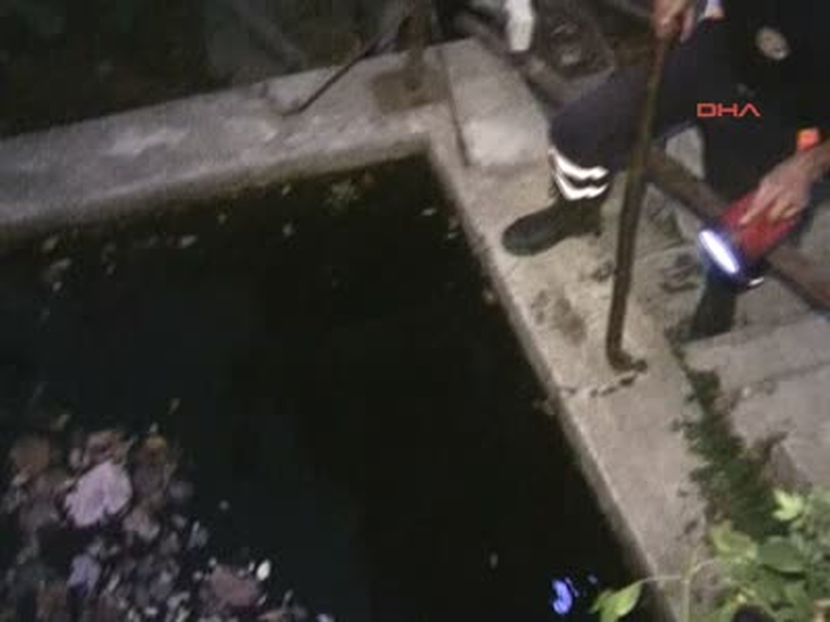 Babaannesinin Peşine Takılıp Kayboldu