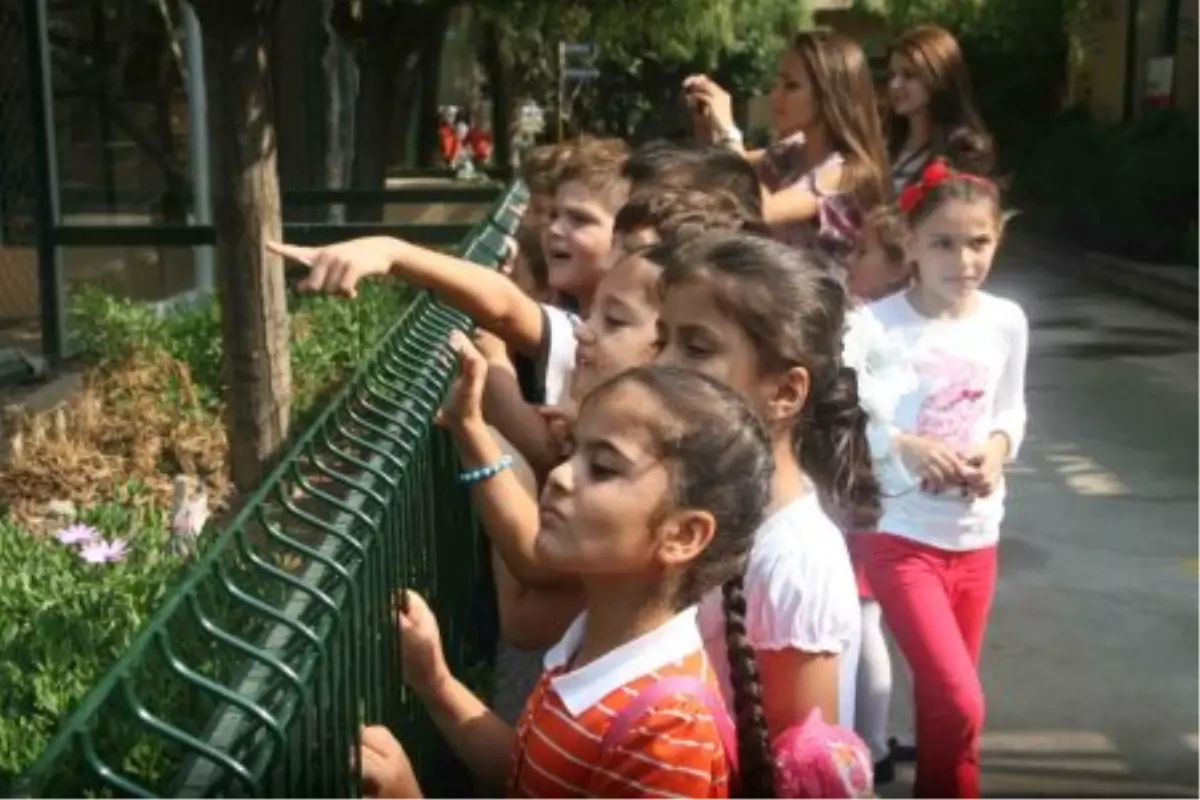 Öğrenciler Nesli Tükenen Hayvanları Tanıdı
