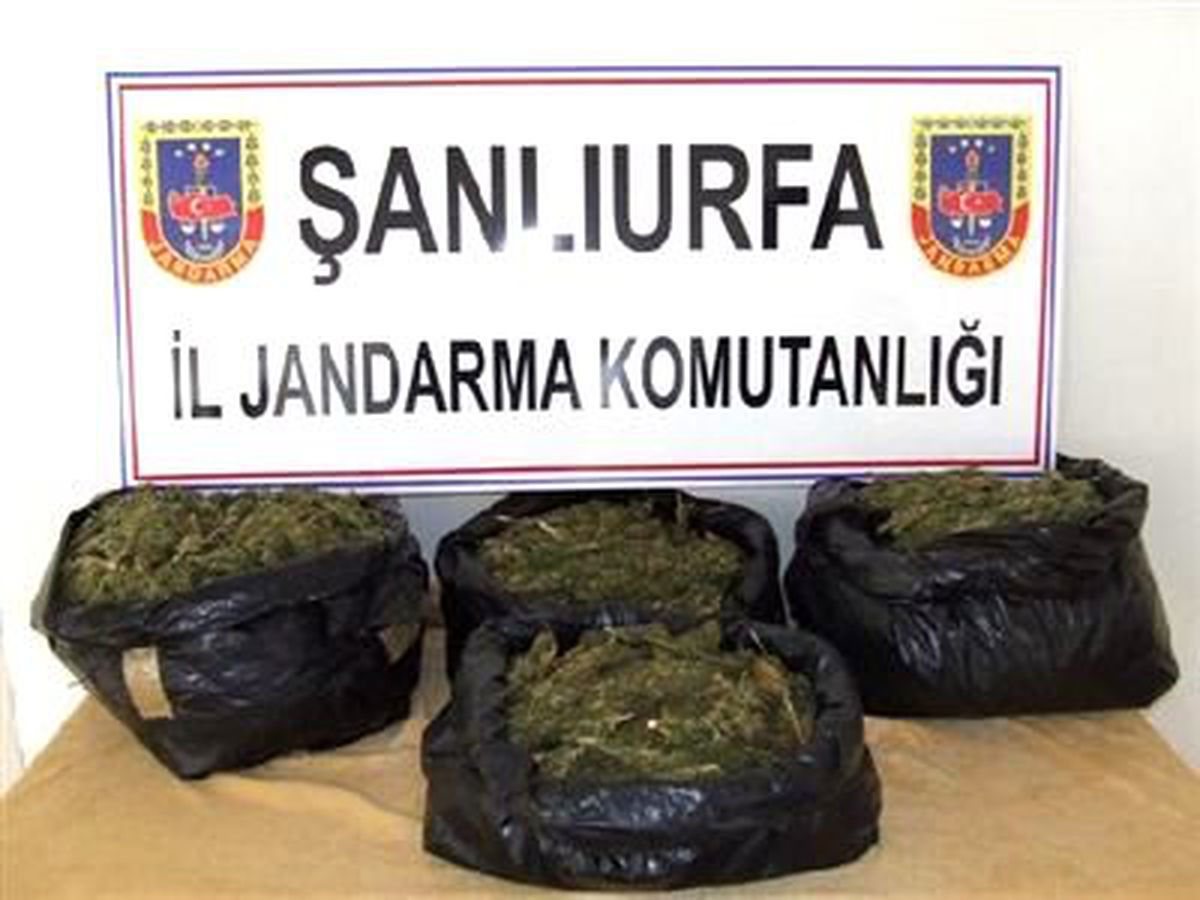 Şanlıurfa\'da Uyuşturucu Operasyonu
