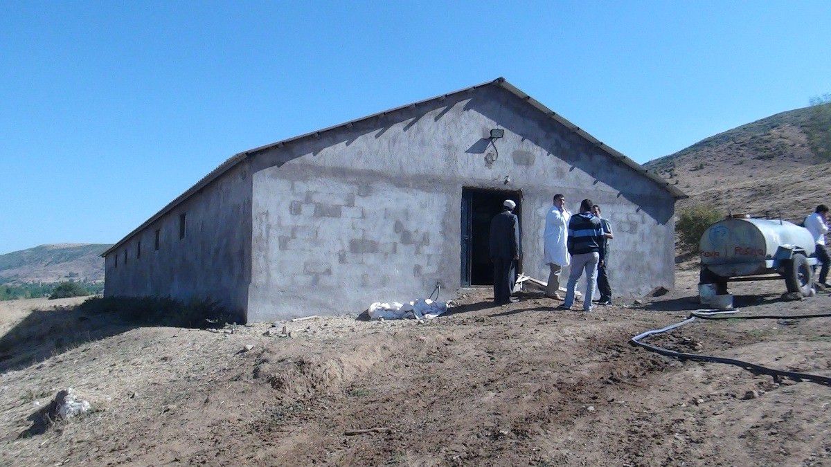 Tatvan\'da Kurban Bayramı Hareketliliği