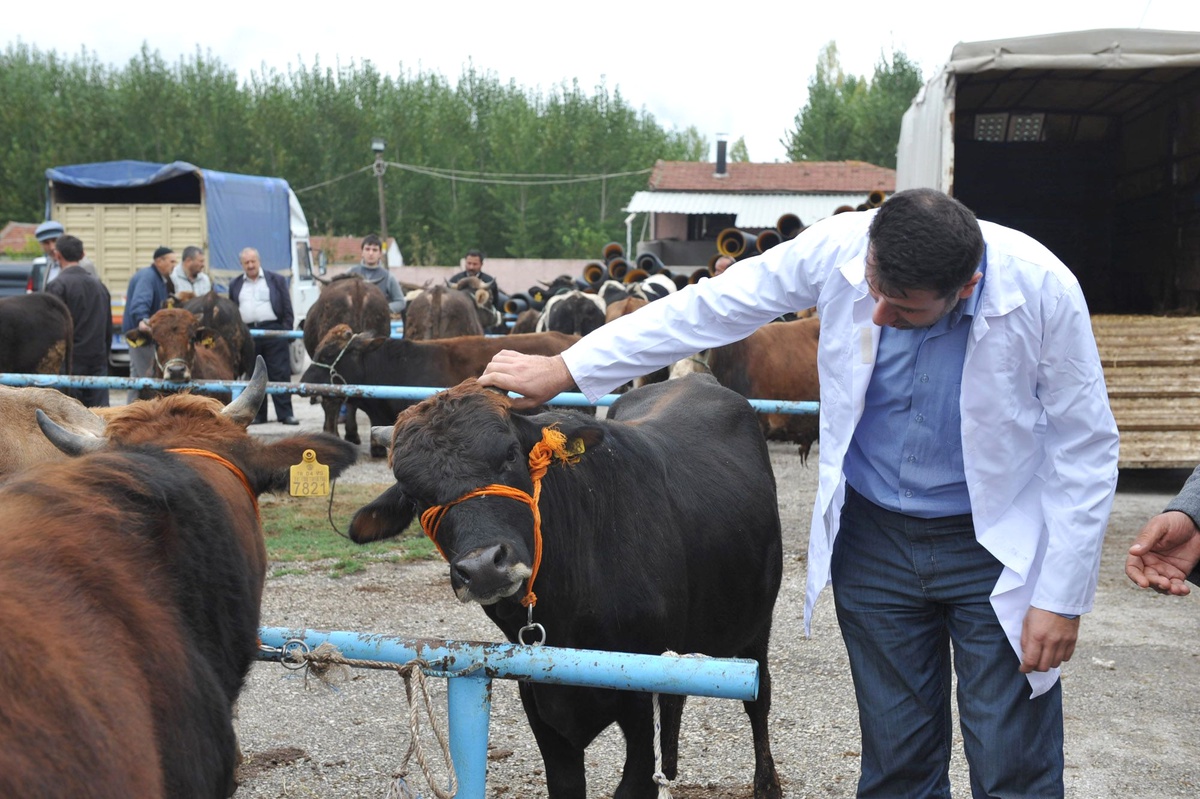 Büyükşehir\'den Kurban Bayramı tedbirleri