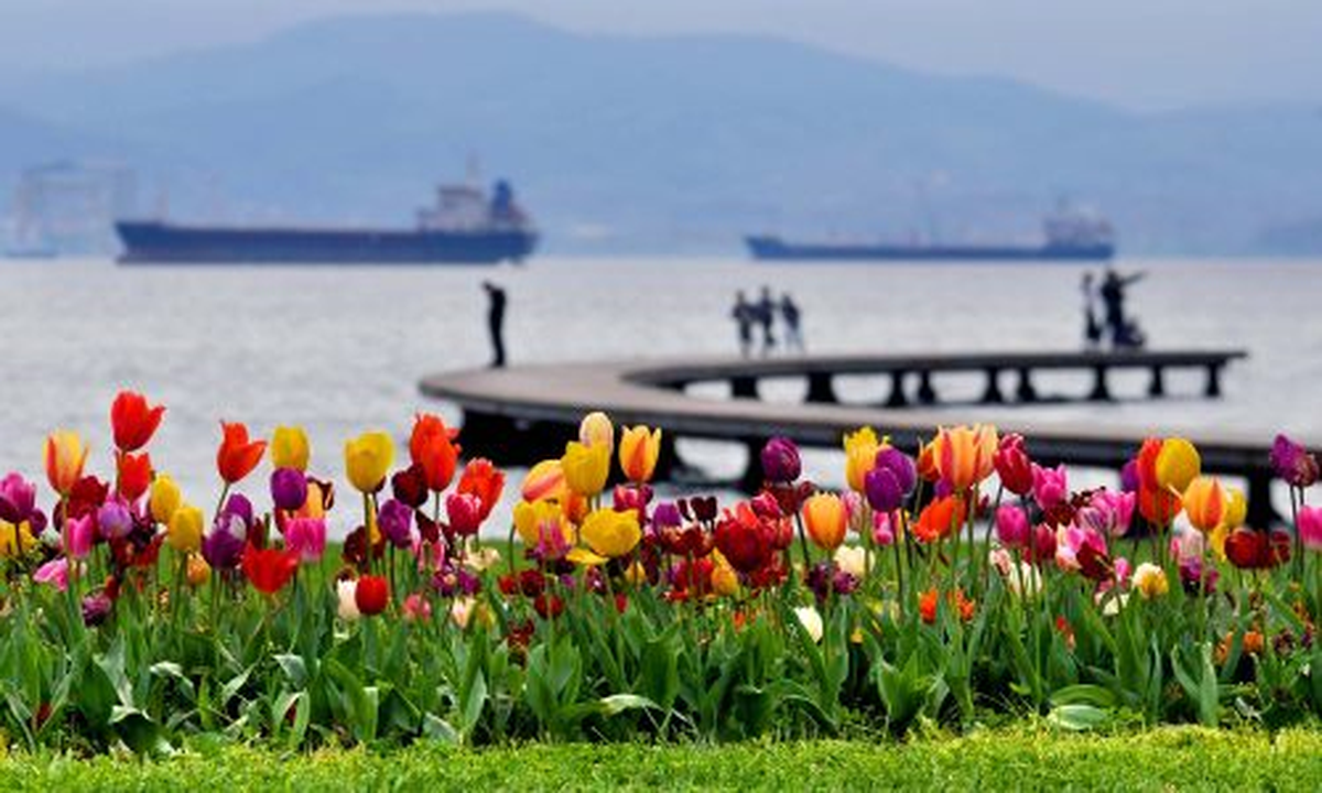 Fotoğraf Yarışması Başvuruları Sona Eriyor