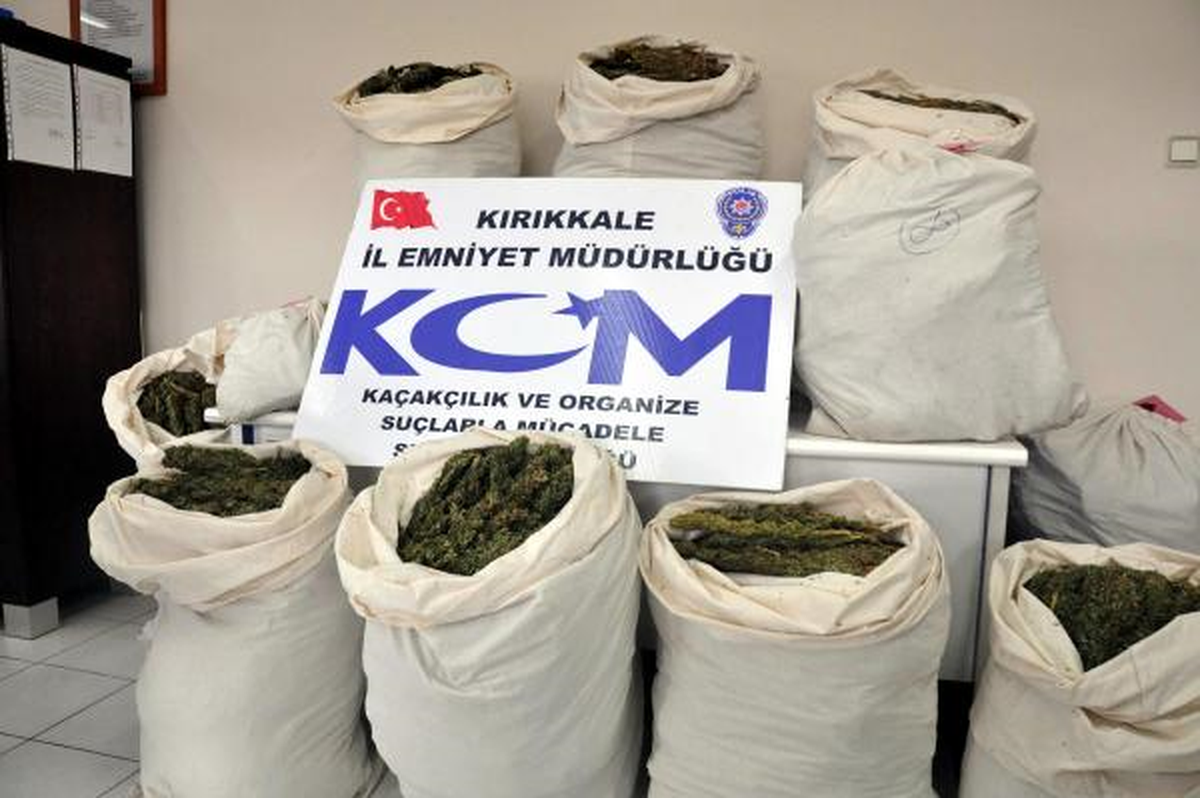 Kırıkkale\'de 200 Kilo Esrar Ele Geçirildi, 11 Kişi Tutuklandı