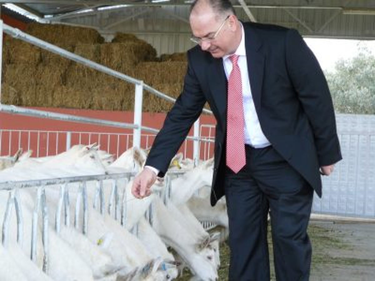 Küçükbaşta Desteklemeler İçin Son Gün 15 Ekim