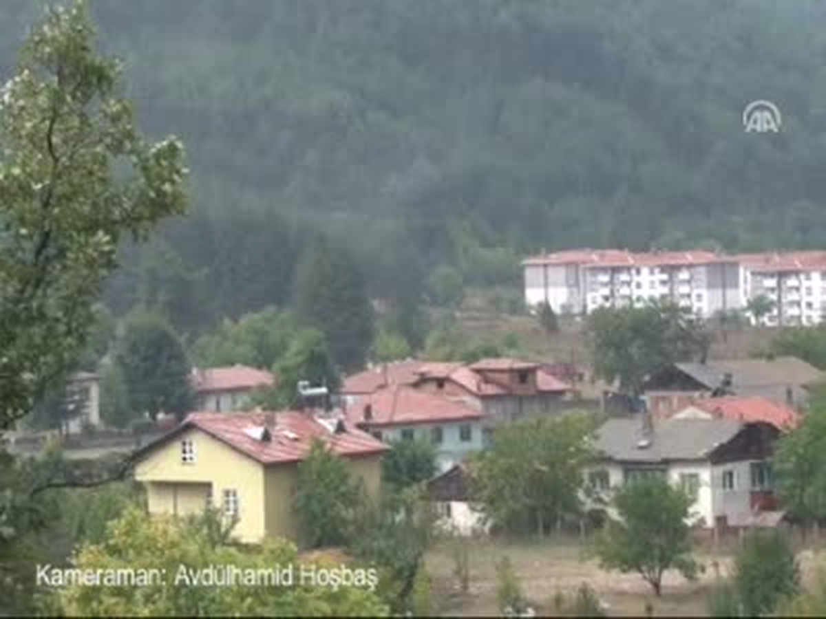 Tek Geçim Kaynağı Kara Elmas