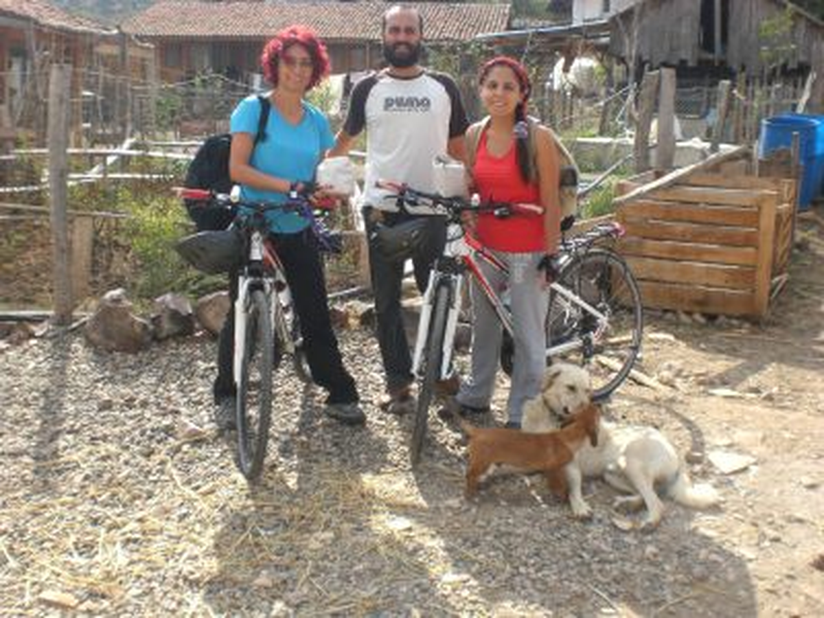 Tohumlar İçin, Şimdi Harekete Geçin!