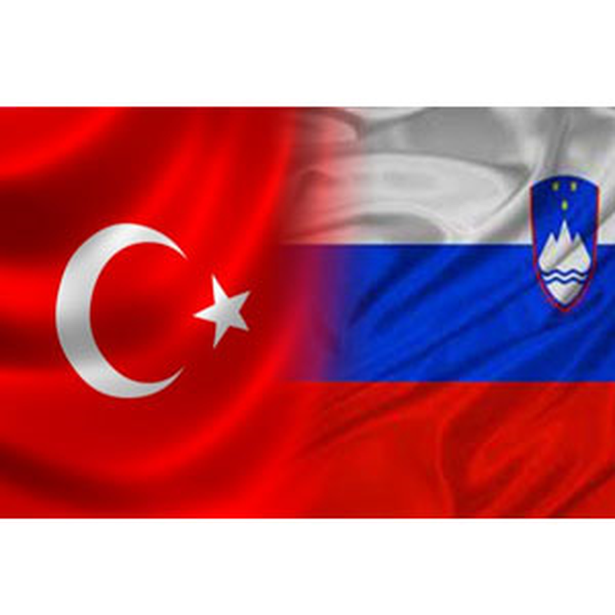 Türk-Sloven İş Forumu