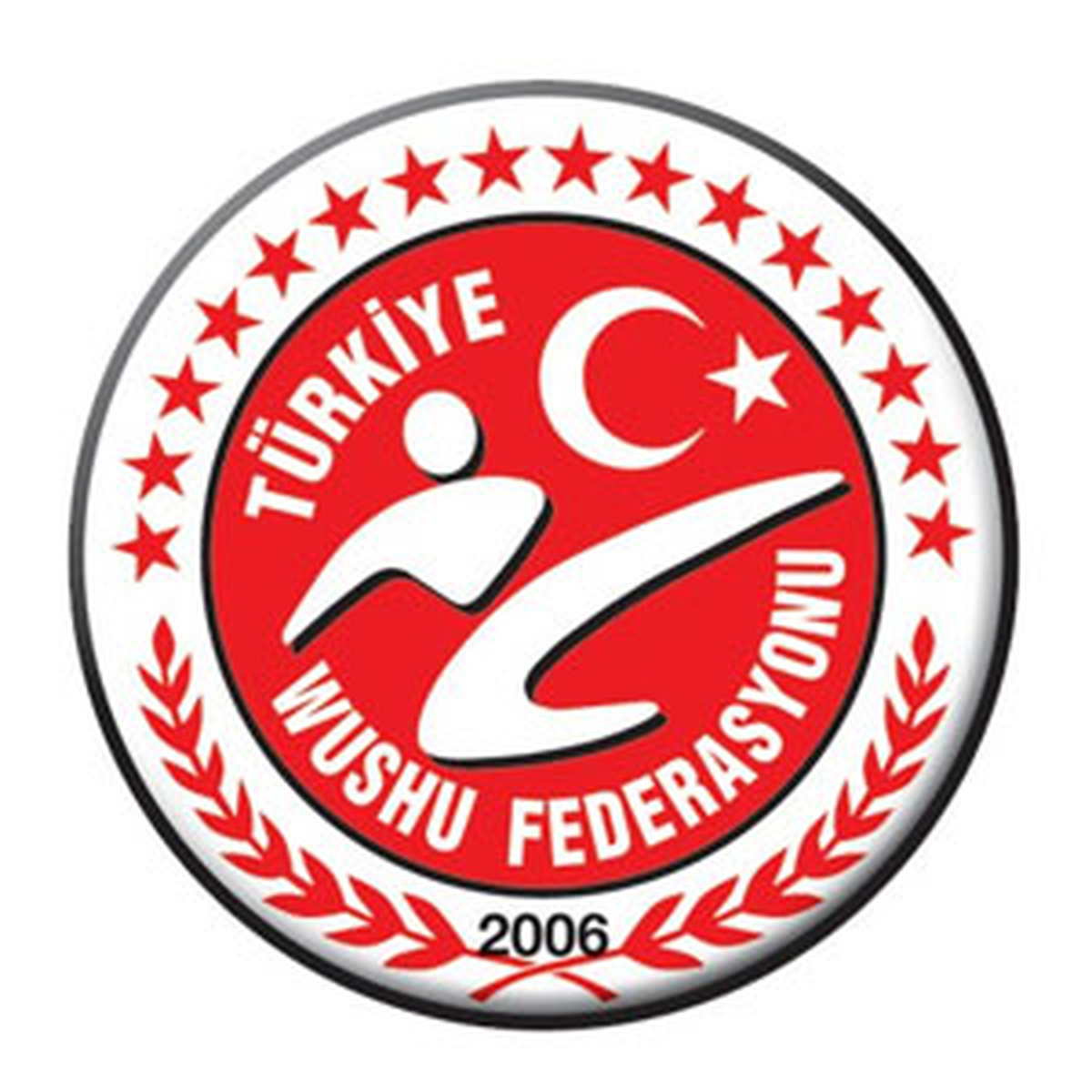 Türkiye Wushu Federasyonu Seçimlerine Doğru