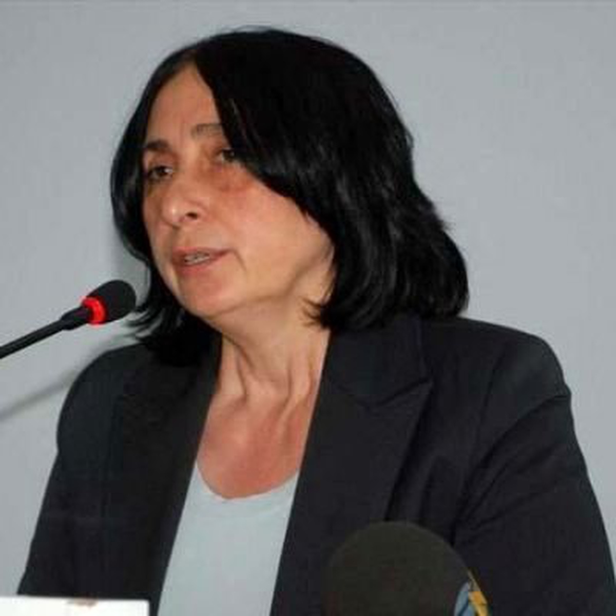 BDP\'li Aydoğan\'ın Dokunulmazlığının Kaldırılması İçin Fezleke Düzenlendi