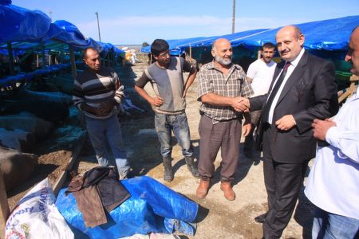 Dört Dörtlük Kurban Pazarı