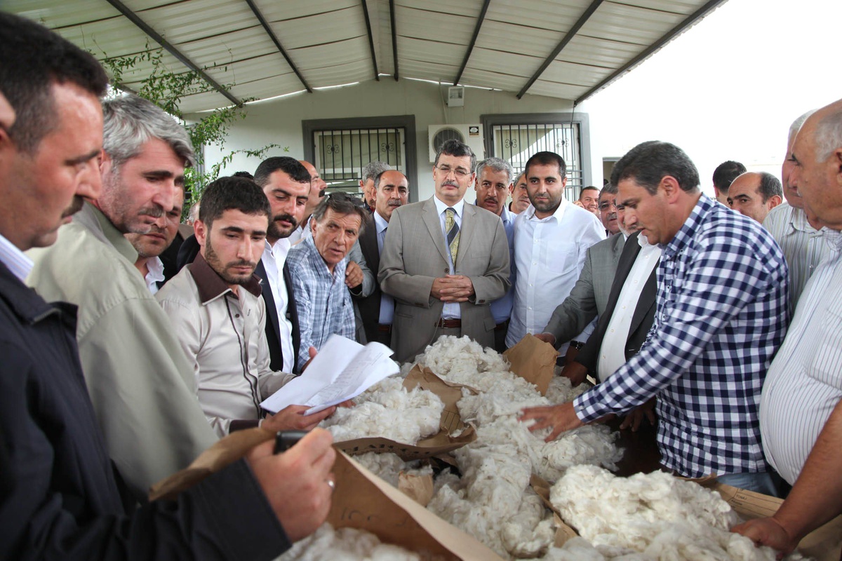Şanlıurfa\'nın \'Beyaz Altın\'ının Açık Arttırmayla Satışına Başlandı