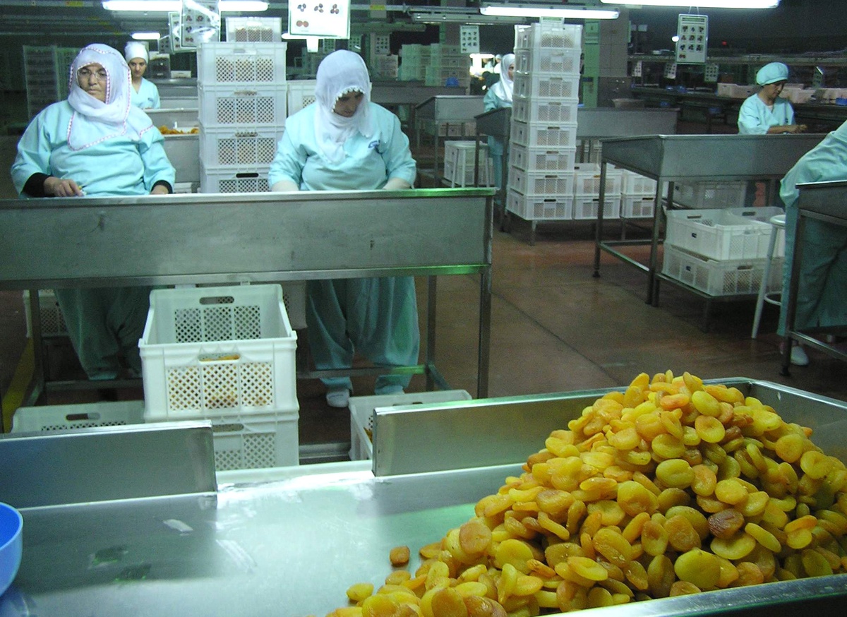 Eylülde 12 Lira 82 Kuruşa Kuru Kayısı Satıldı