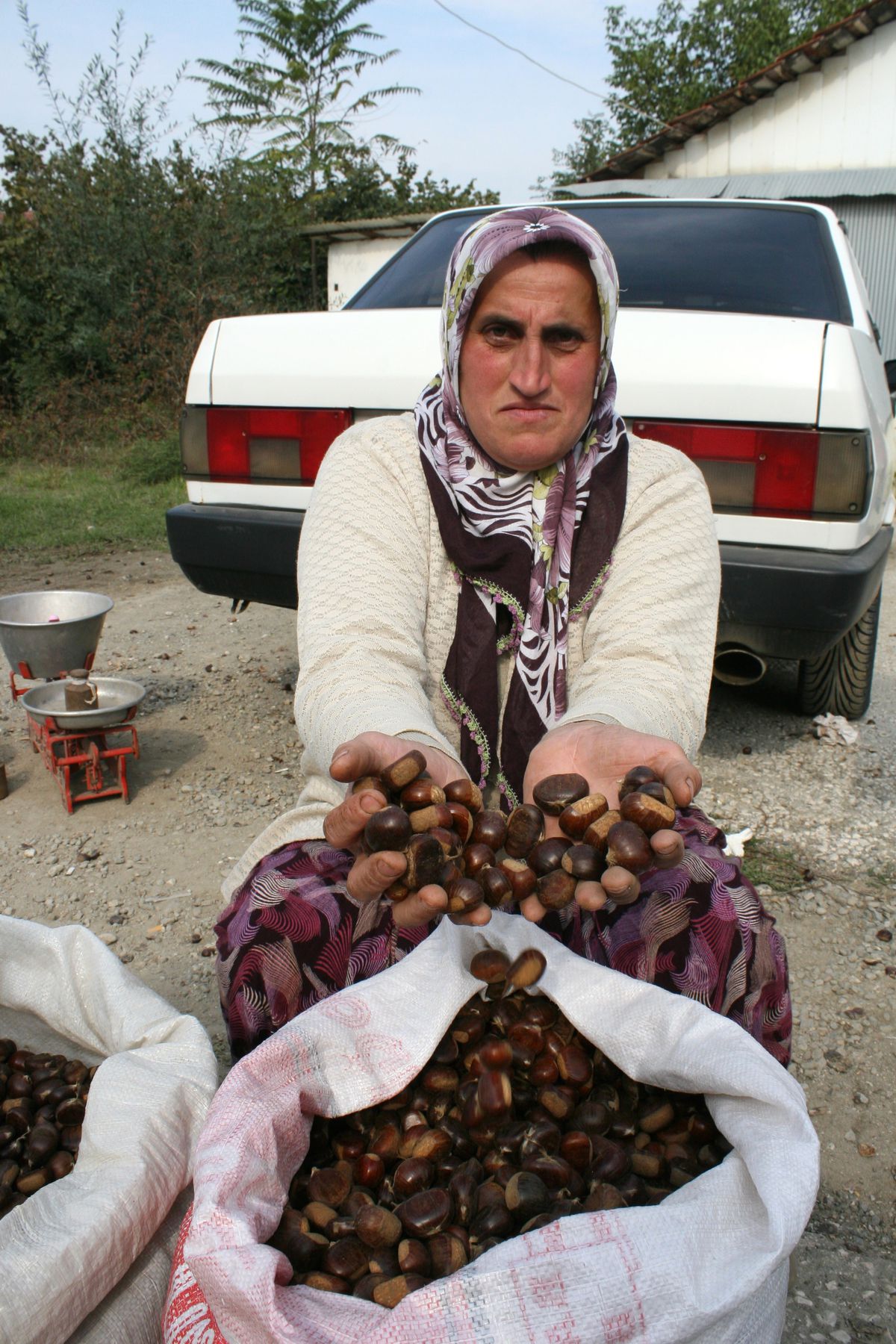 Kışın Habercisi Pazara İndi