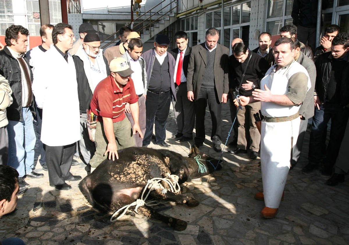 Esenler\'de Kurban Hazırlıkları Tamam