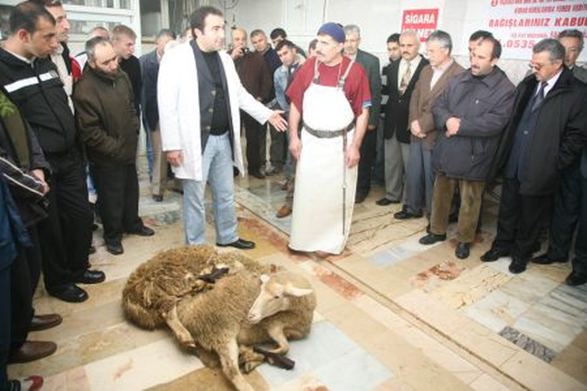Kurban Hazırlıkları Tamam