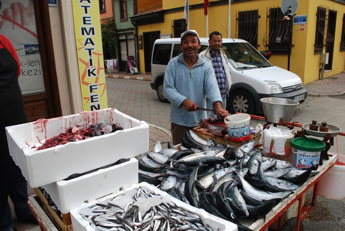 Mudanya\'da Palamut Bereketi