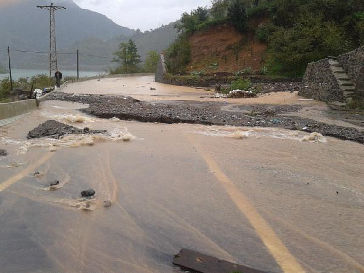 Sel ve Heyelan, Borçka'yı Vurdu