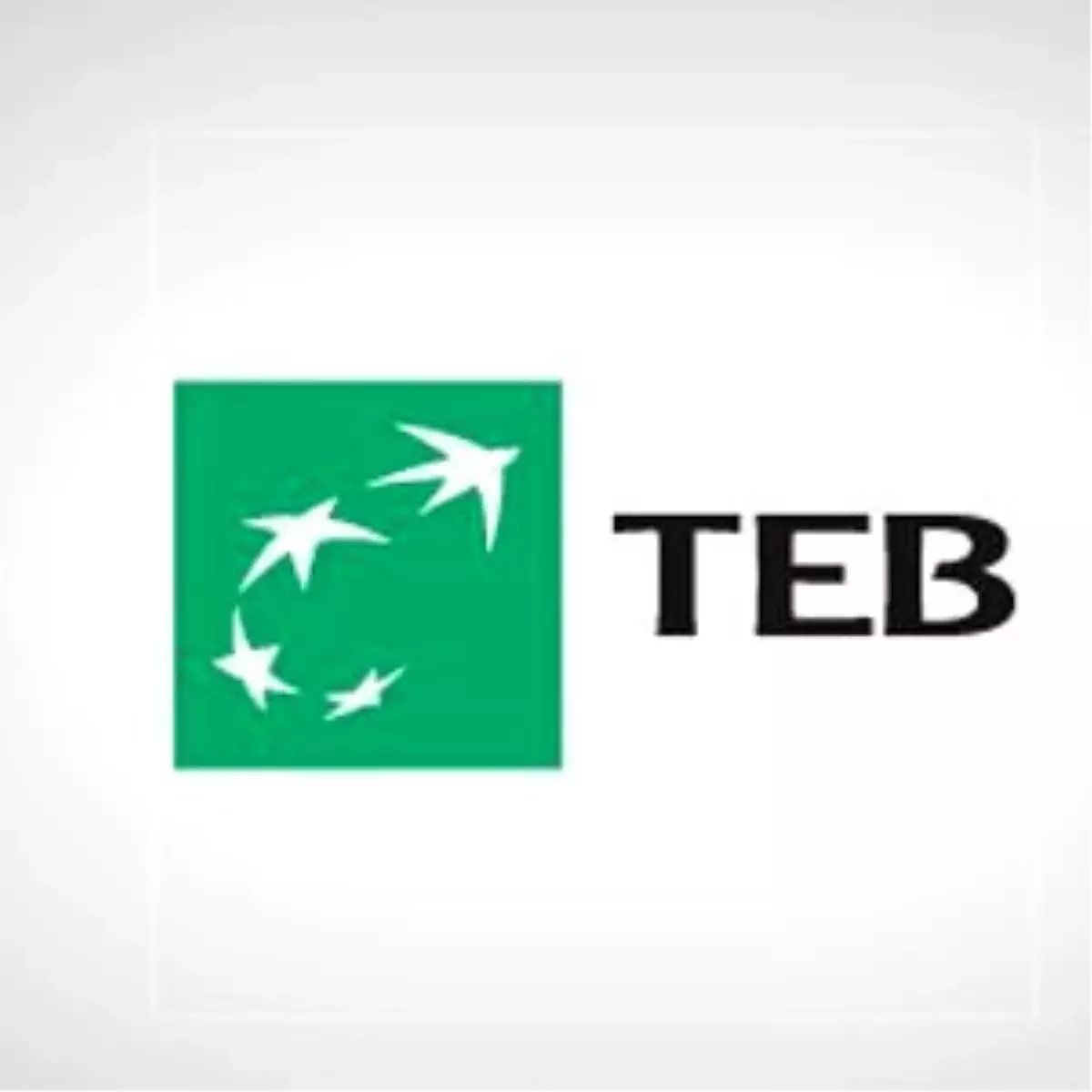 Teb Bnpp\'den "Belçika\'da İş ve Yatırım" Konulu Konferans