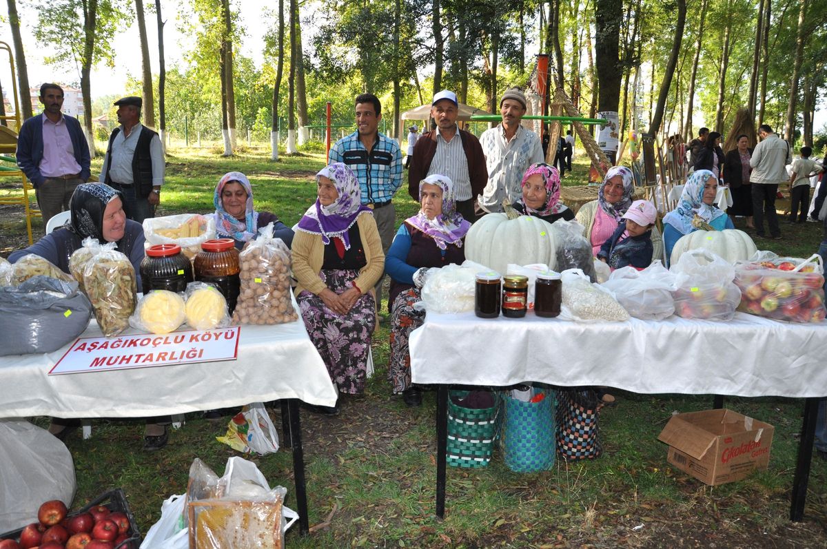Alaçam\'da Hasat Panayırı