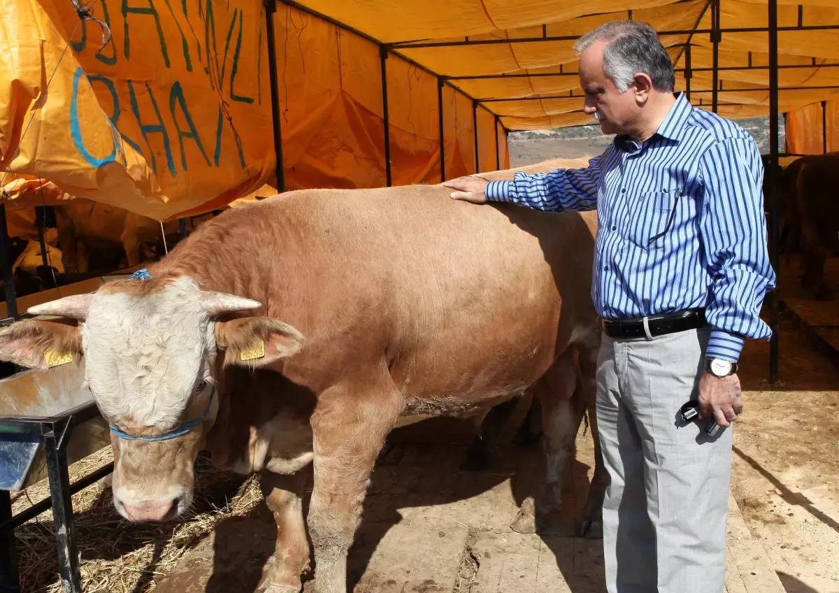 Bayraklı Bayrama Hazır