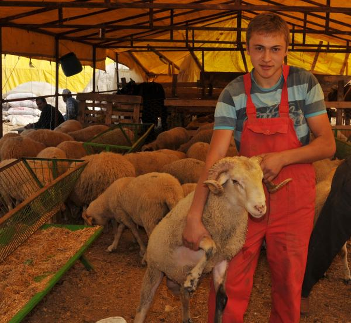 Kurban Pazarında Satıcılarda \'Kurbanlık Elimde Kalacak\' Korkusu