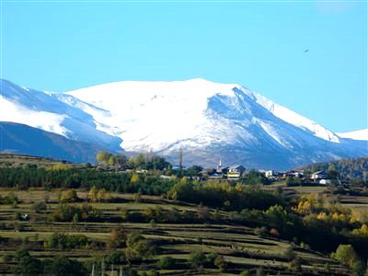 Posof\'ta Yeşil Beyazla Buluştu