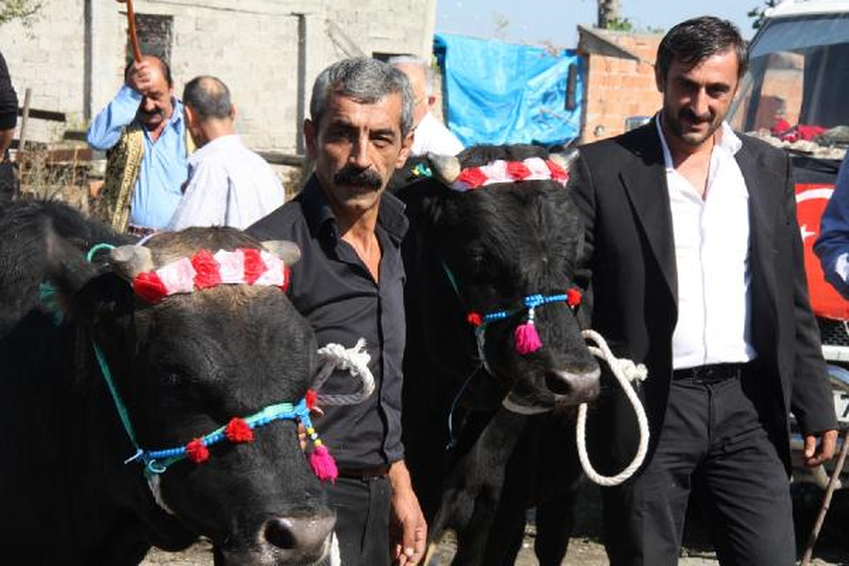 2 Boğa Alana 1 Boğa 3 Koç Hediye