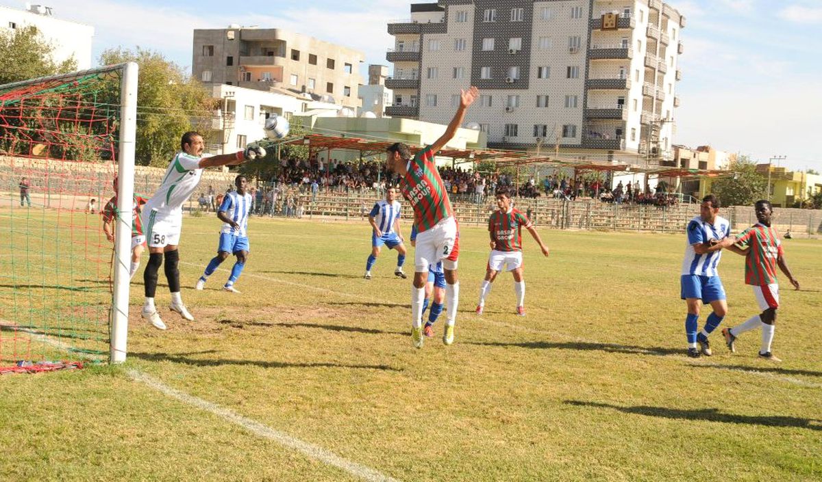 Bal Ligi