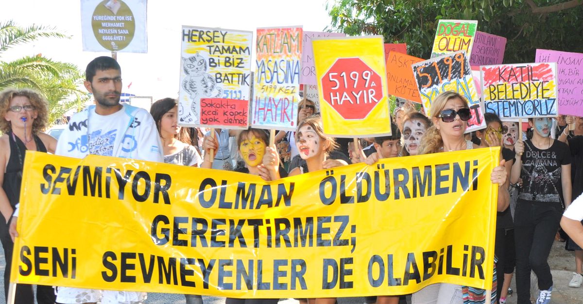 Hayvan Hakları Yasası Protesto Edildi
