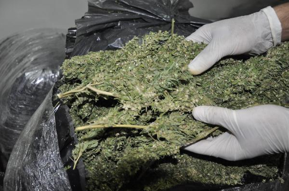 Siverek\'te 146 Kilo Esrar Ele Geçirildi