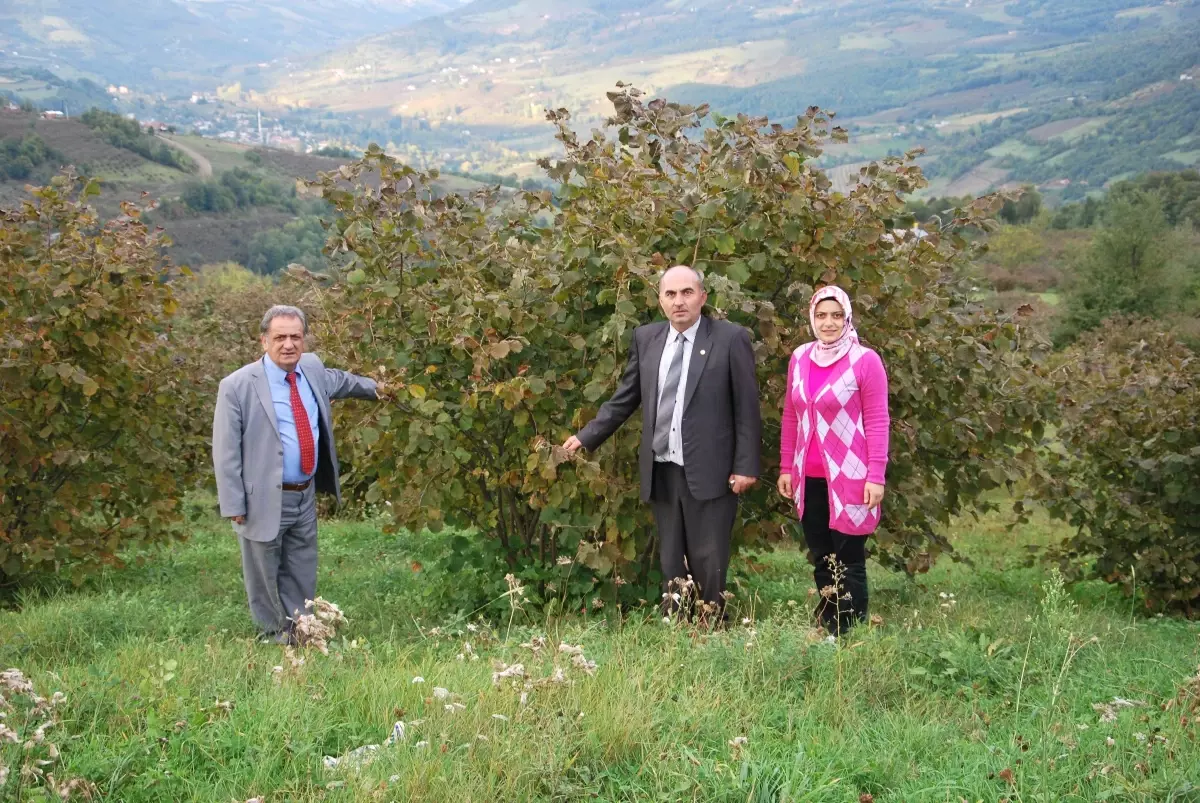 19 Mayıs'ta Organik Tarım Çalışması