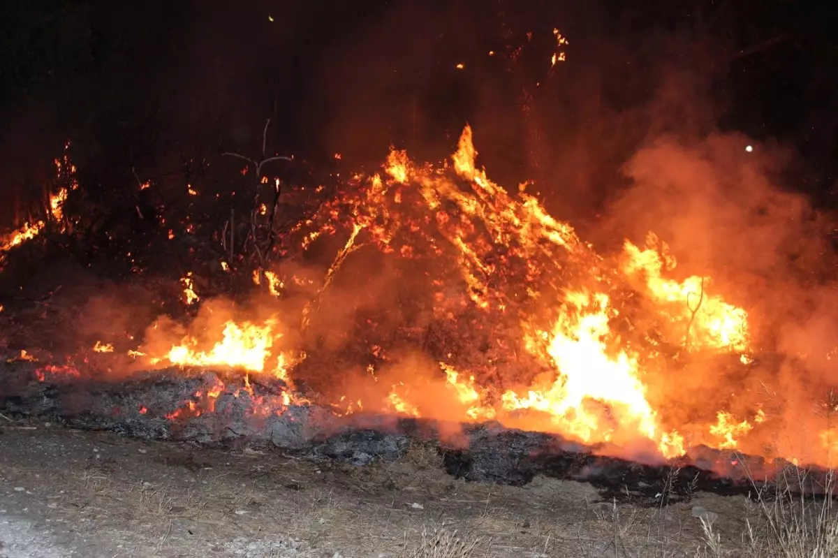 Ardahan\'da Ot Yangını