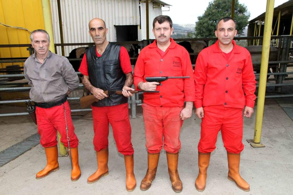 Boğa Timi Kurban\'a Hazır