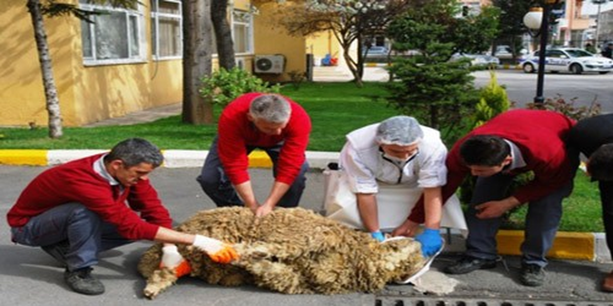 Didim\'de Kurban Hizmetleri Komsiyon Kararı Açıklandı