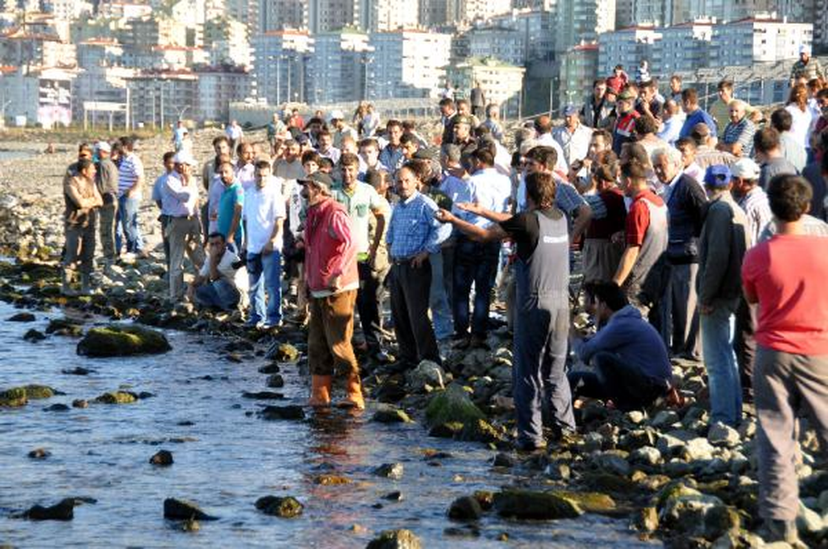 Hayvan Satmaya Geldiler, Denizde Boğuldular