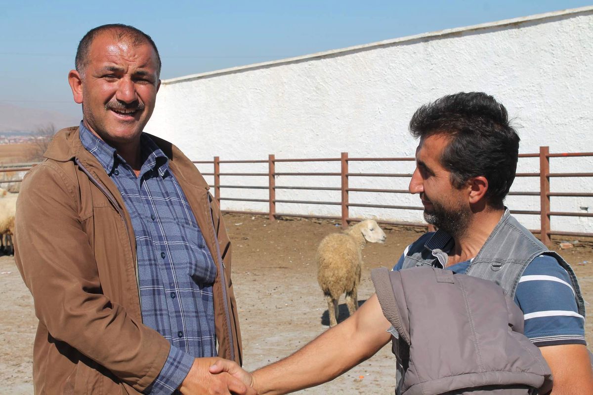 Kırşehir\'de Kurban Bayramı Hazırlıkları