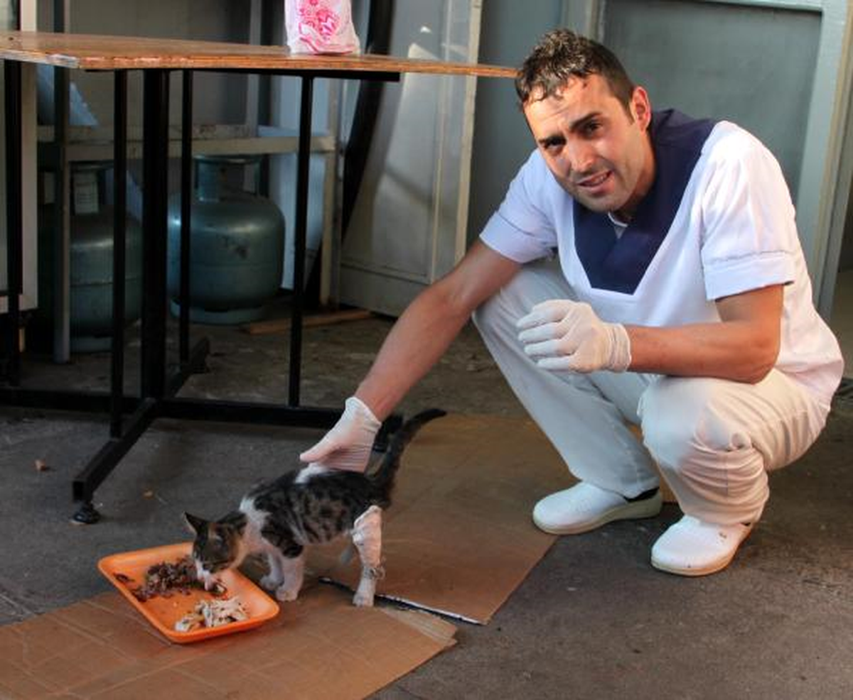 Otomobilin Çarptığı Kedinin Bakımını Üstlendi