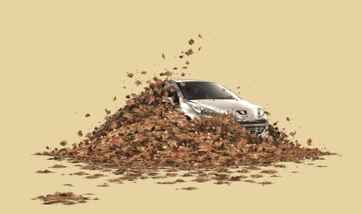 Sonbahar Size Gelmeden Siz Peugeot\'ya Gelin