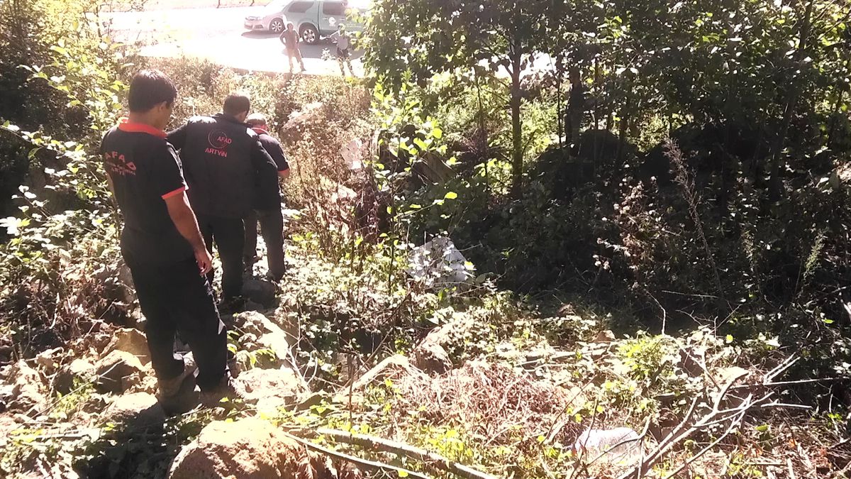 Artvin\'de Trafik Kazası: 1 Ölü, 2 Yaralı
