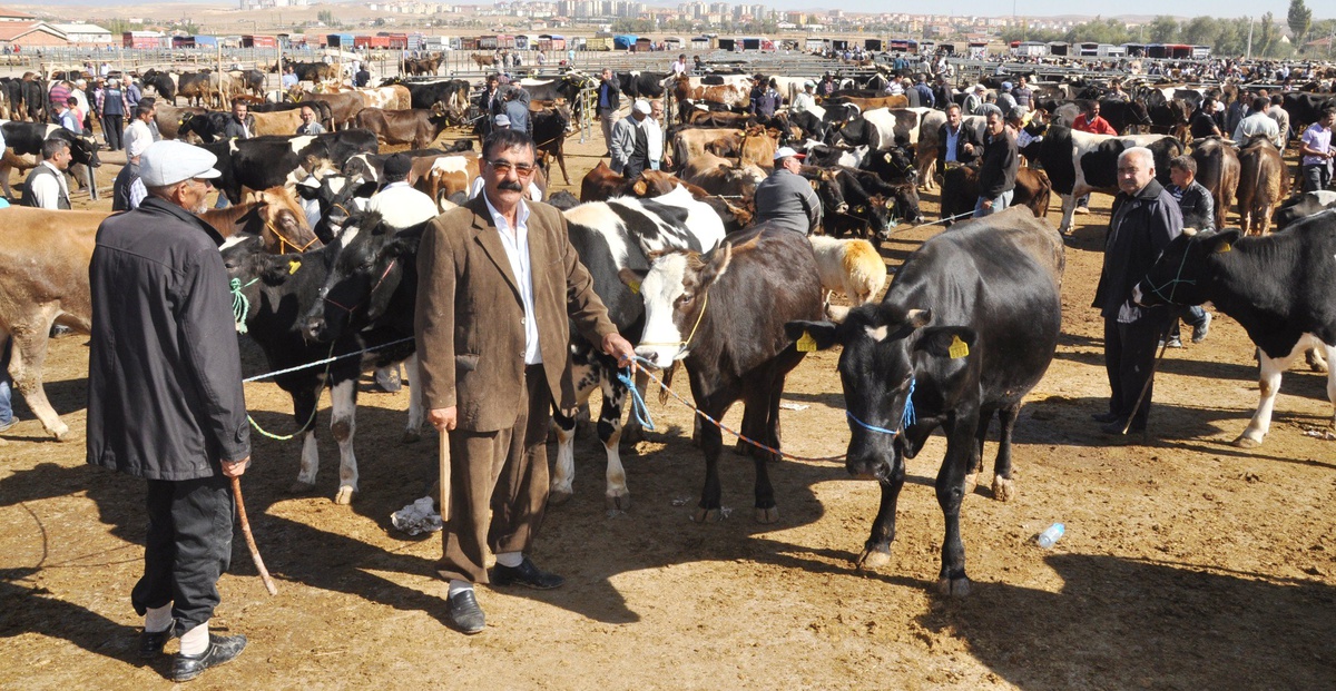 Besici Düşük Fiyattan, Vatandaş Yüksek Fiyattan Yakındı
