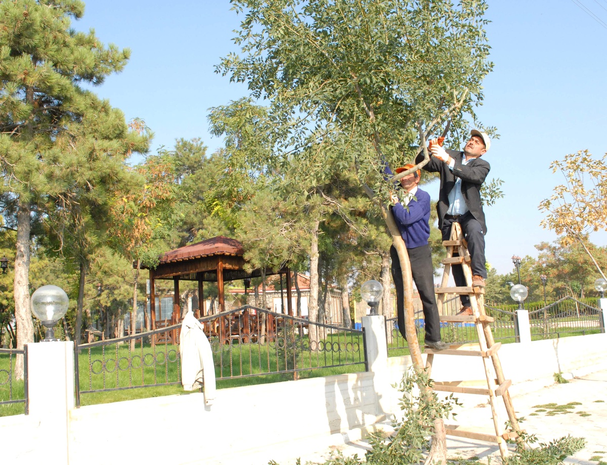 Bolvadin\'de Ağaçlandırma Çalışmaları Sürüyor