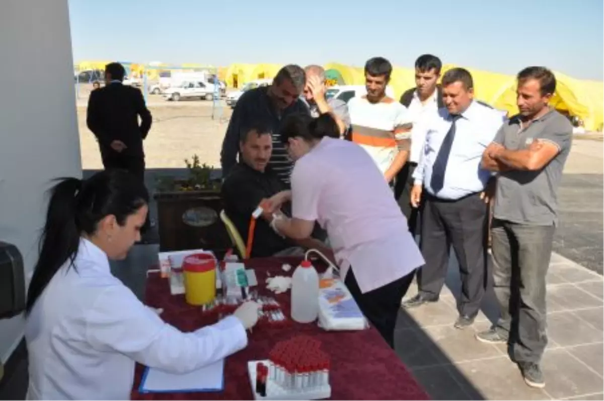 Gölbaşı\'nda Kurbanlık Satıcılarına Sağlık Taraması