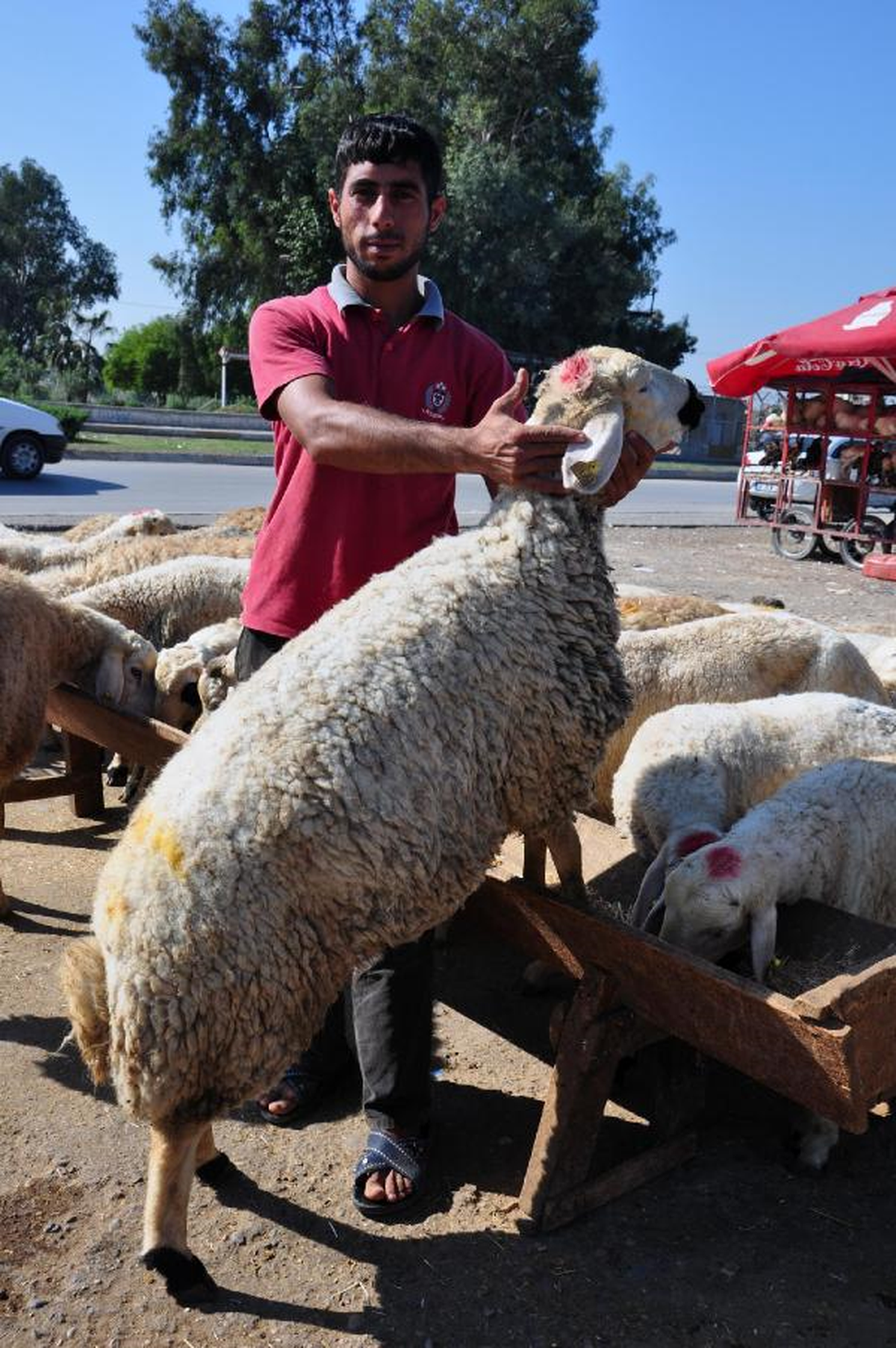 Kurbanlık İçin Sıkı Pazarlık