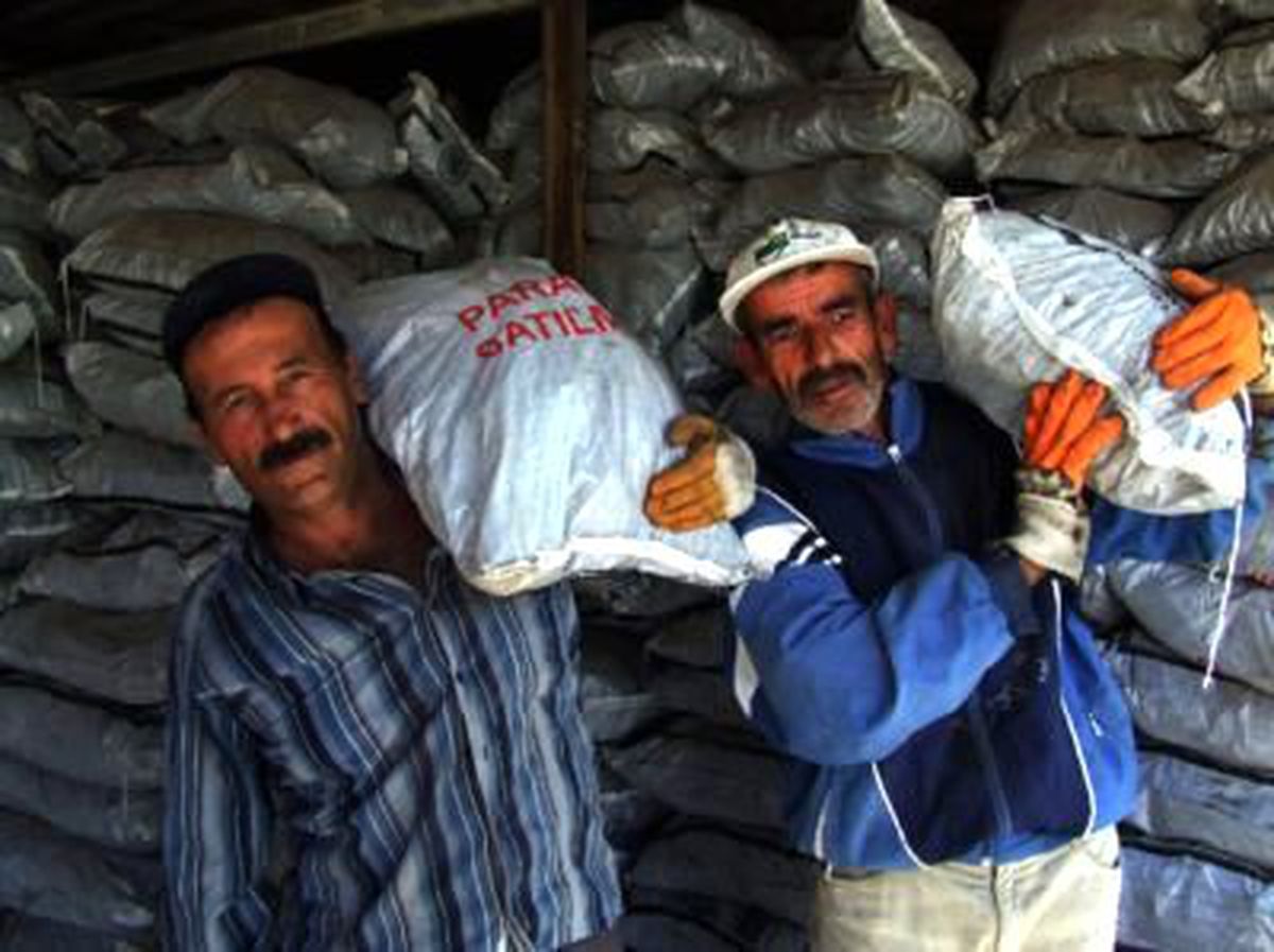 Muş\'ta 10 Bin Ton Kömür Dağıtıldı