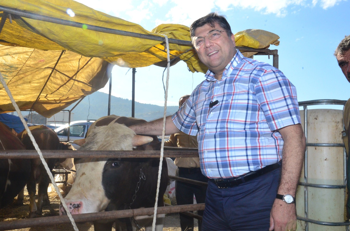 (Özel Haber) Kaçan Kurbanlıkları Yakalama Timi İş Başında