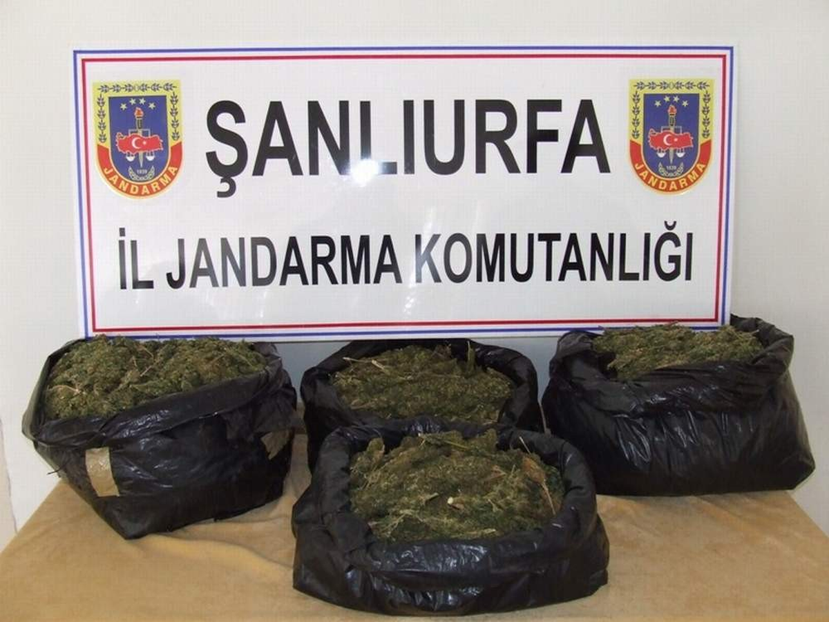Şanlıurfa\'da 218 Kilo 455 Gram Esrar Ele Geçirildi