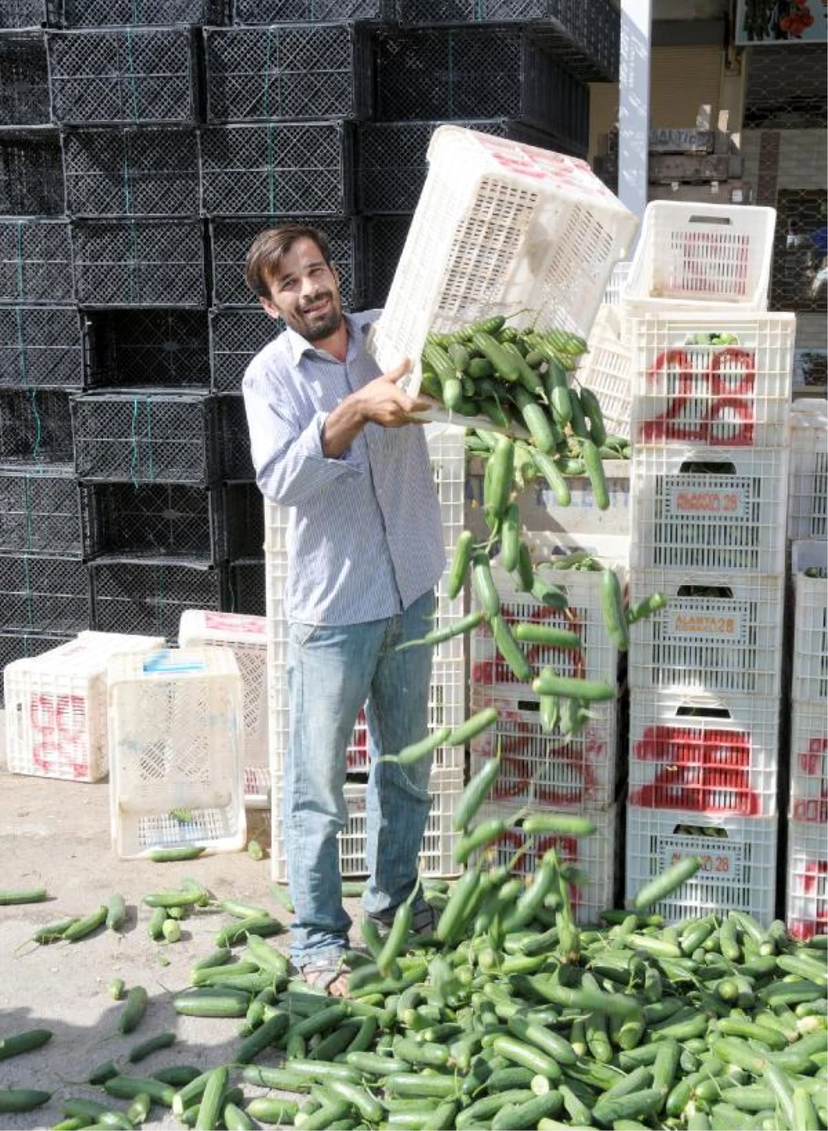 Alanya\'da Toptan Fiyatı 2 Kuruşa Düşen Tonlarca Salatalık Sokağa Döküldü